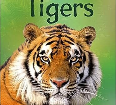 Tigers Hot on Sale