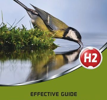 Gce A Level Effective Guide (H2) Biology Online Hot Sale