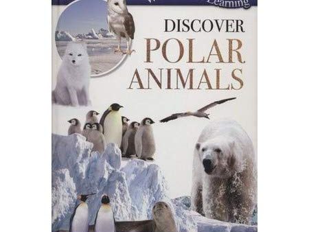 Discover Polar Animals For Discount