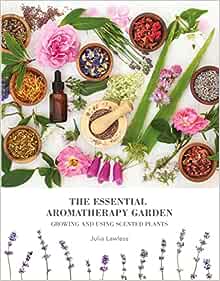 The Essential Aromatherapy Garden: Growing & using scented plants For Sale