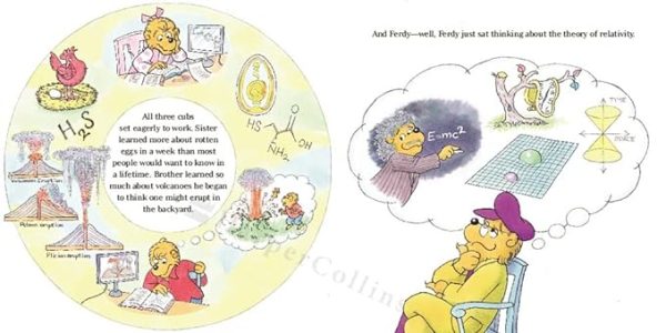 The Berenstain Bears  Big School Project Online Sale