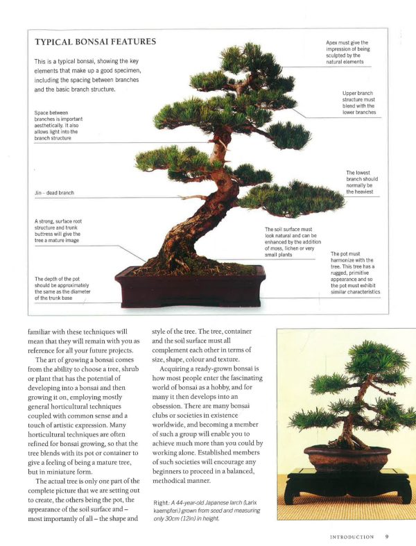 Anness: Bonsai Handbook Online Sale